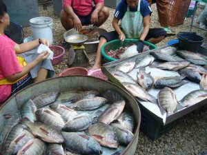 17042299622_3c3ea50fab_z