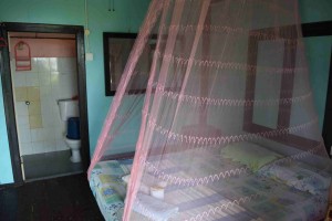 17052156752_7184dc8d37_k