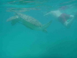 17053113205_21192ed044_k