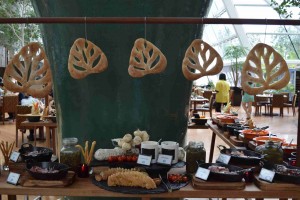 16846080457_bd2306694c_k