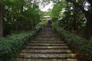 16865096248_f7bec3804a_k