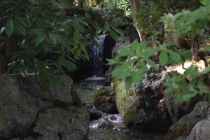 16865341140_c9562e6ba0_k