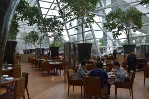 17052682151_0901087e26_k