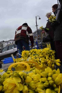 16432296194_484b9818e0_k