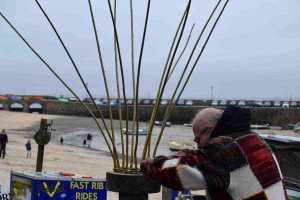 17053927901_55aa16a1df_k